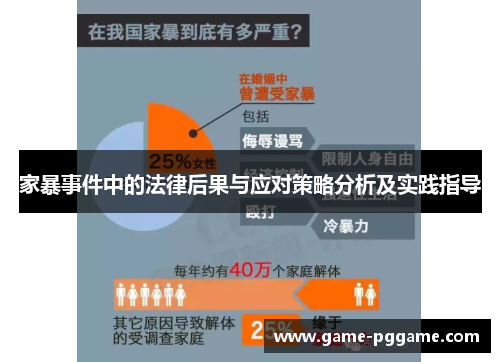 家暴事件中的法律后果与应对策略分析及实践指导