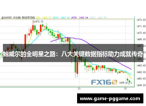 鲍威尔的全明星之路：八大关键数据指标助力成就传奇