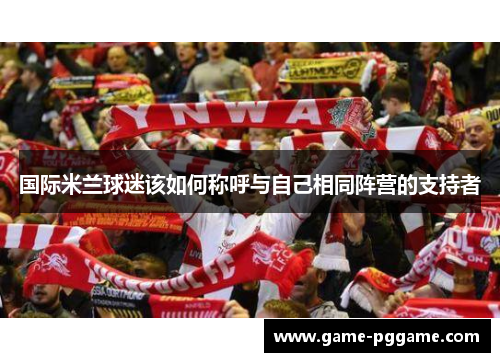 国际米兰球迷该如何称呼与自己相同阵营的支持者